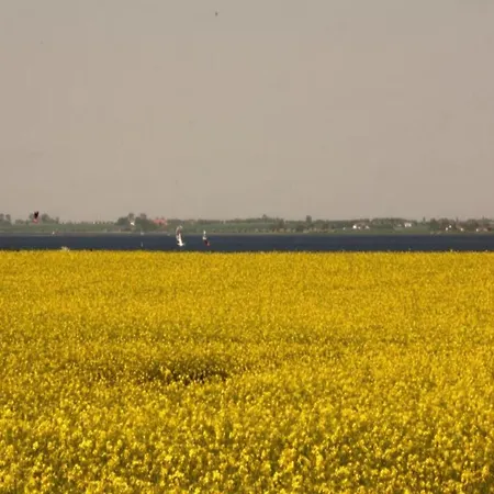 Vakantiehuis Komfortables In Mit Sauna Zierow
