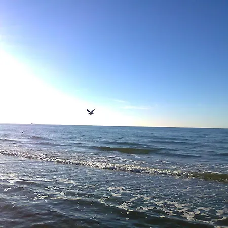 Komfortables In Mit Sauna Vakantiehuis