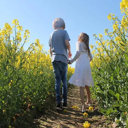 Komfortables In Mit Sauna *